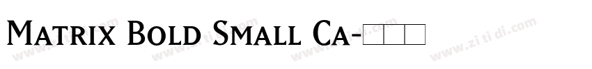 Matrix Bold Small Ca字体转换